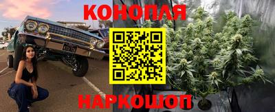 сатива Балахна